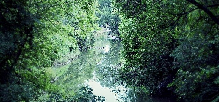 Coldwater Creek (North County)